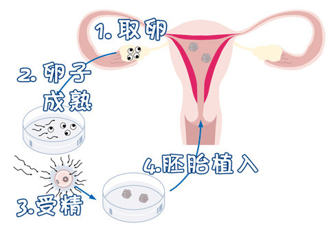 王景华院长